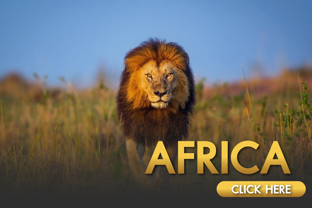 บริษัททัวร์ 5 ดาว แอฟริกา