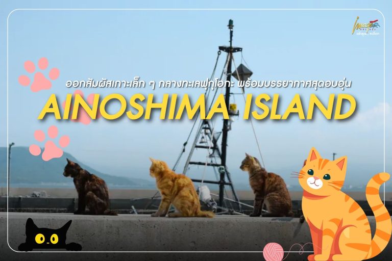 ออกสัมผัสเกาะเล็ก ๆ กลางทะเลฟุกุโอกะ  Ainoshima Island