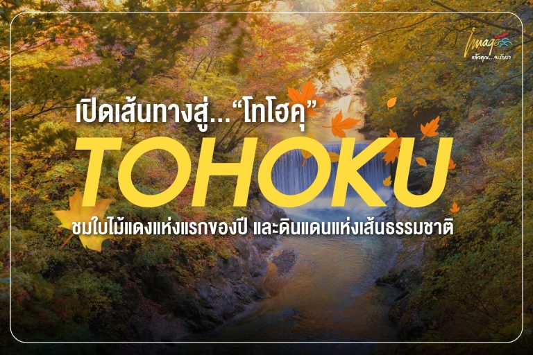 TOHOKU เปิดเส้นทางสู่…“โทโฮคุ”ชมใบไม้แดงแห่งแรกของปี และดินแดนแห่งเส้นธรรมชาติ